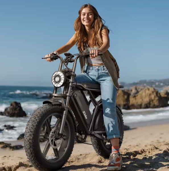TST R002 Electric Bike