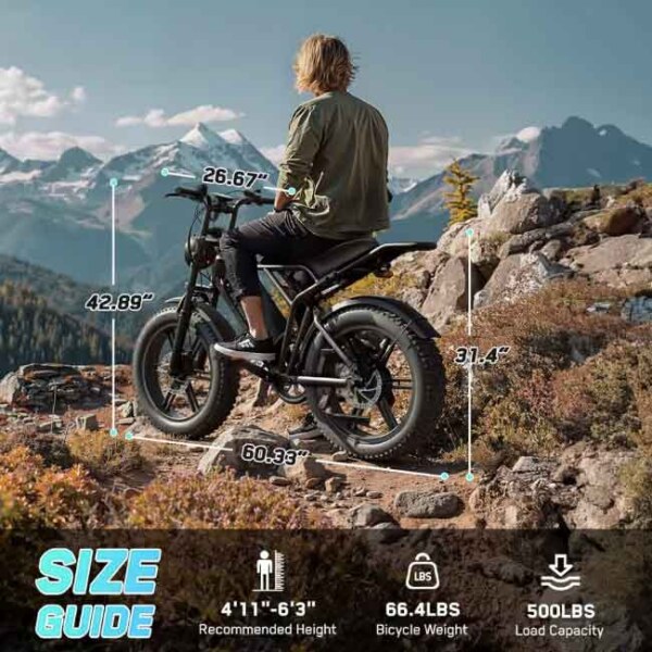 TST R002 Electric Bike